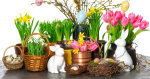 ORDER YOUR SPRING AT THE TRADE FAIR IN LETNANY